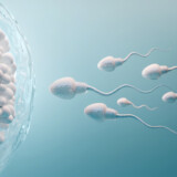 9 lucruri pe care ar trebui să le știi despre spermă