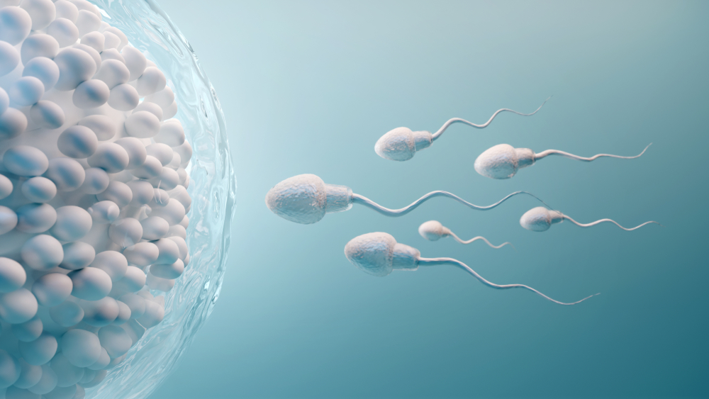 9 lucruri pe care ar trebui să le știi despre spermă - Planifică ...